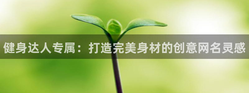 龙8国际老虎机电子