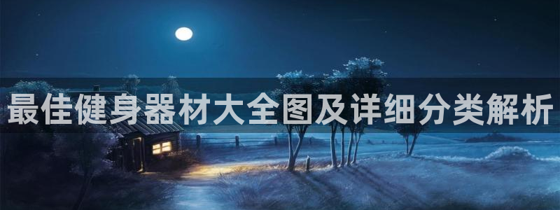 龙八国际pt
