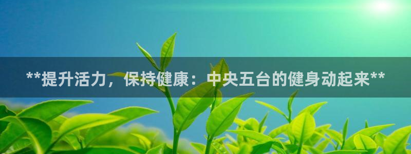 龙8国际手机版官网