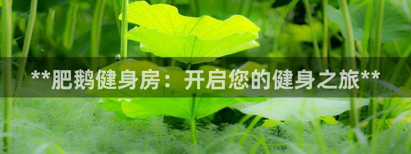 龙8国际官网版最新版下载