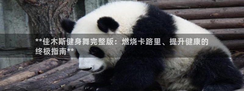 龙8国际唯一官网手游登入口