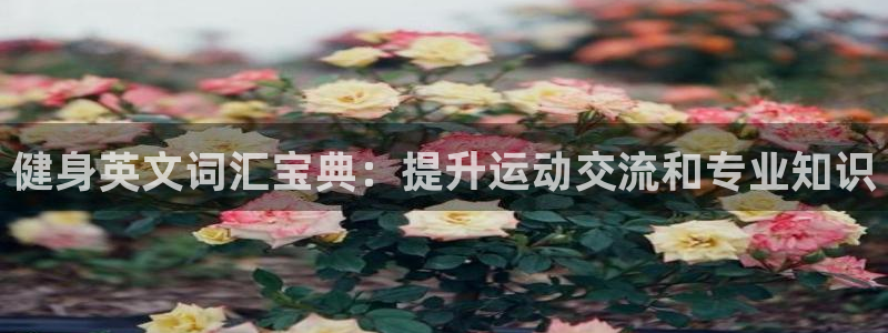 龙8电子游艺网址多少