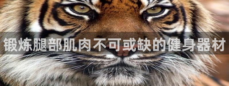 龙8国际唯一官网手游登入口