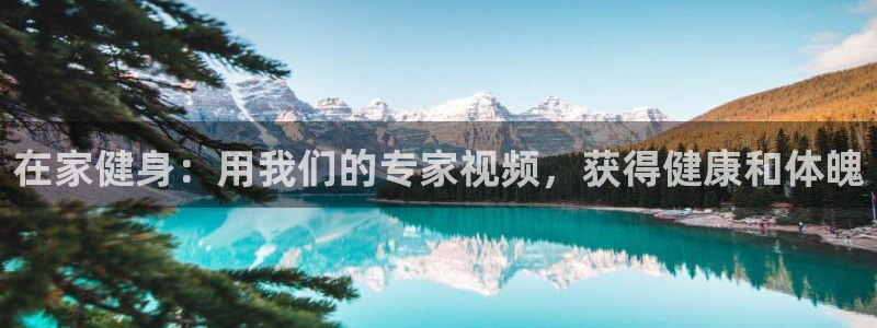 龙8国际现金