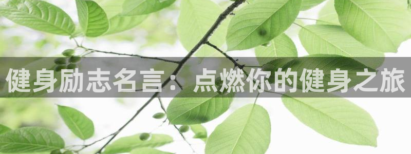 龙8老虎机游戏网站多少
