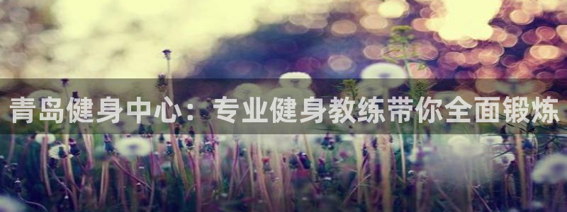 龙八国际官方网