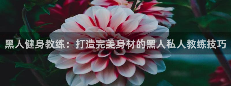 龙8国际pt