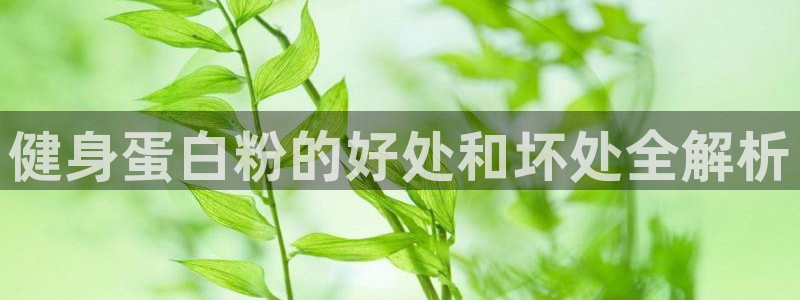 龙8全新客户端安卓版