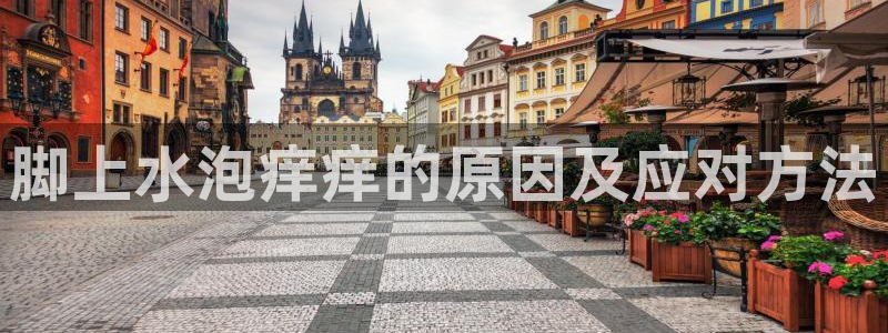 龙8国际开户
