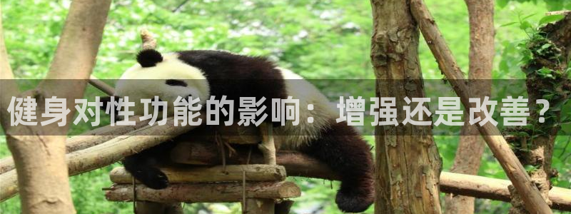 龙8国际手机版