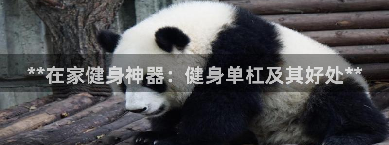 龙8国际官方网页