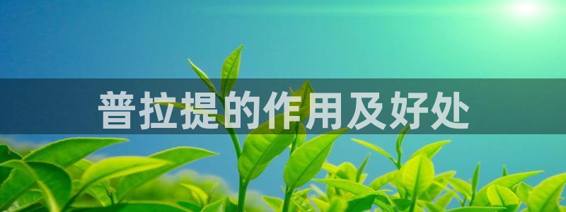 龙八国际2018最新官网