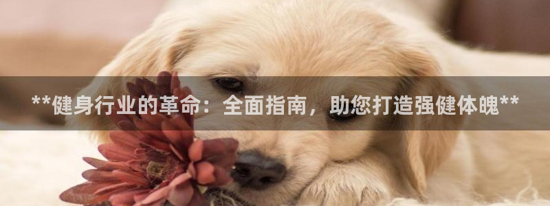 龙8国际龙8官方网站
