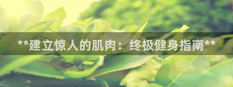龙8游戏城网址