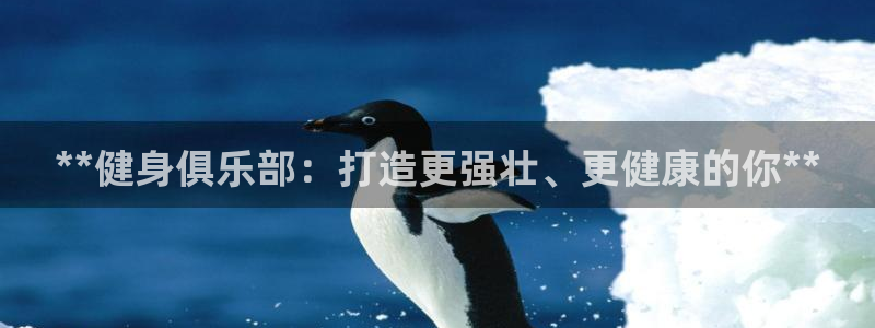 龙8国际游戏官网