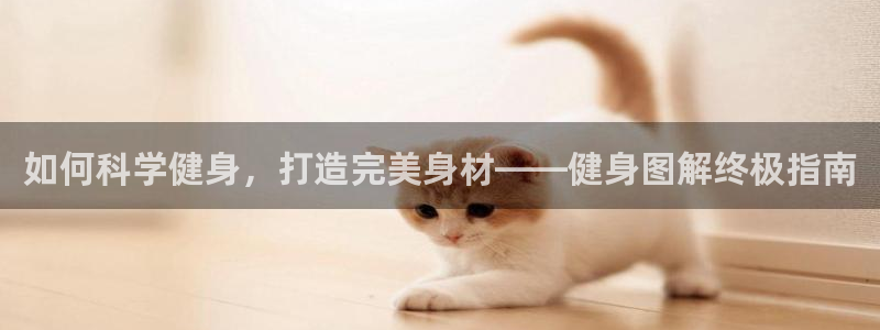 龙8国际官方网址下载