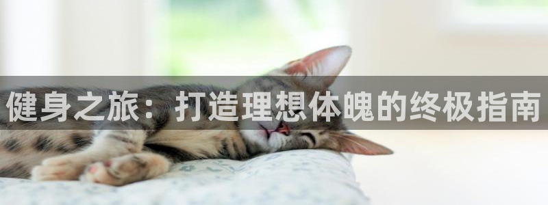龙8国际为啥改名叫头号玩家了