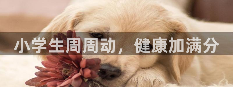 龙8游戏平台官方网站是多少