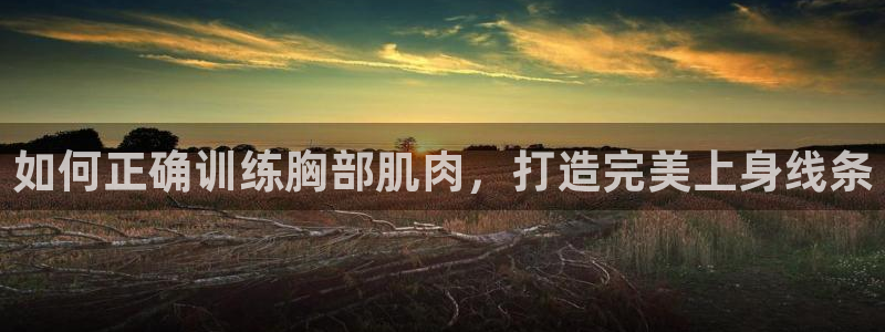 龙8 国际