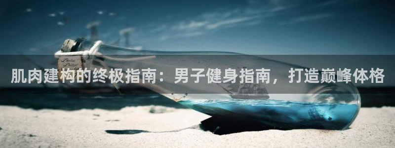 龙8国际pt官网