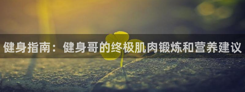 龙8国际游资如何