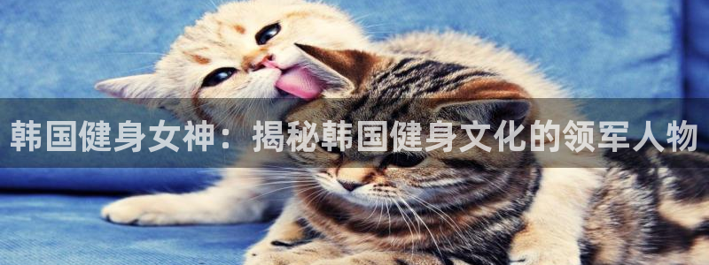 龙8国际玩家