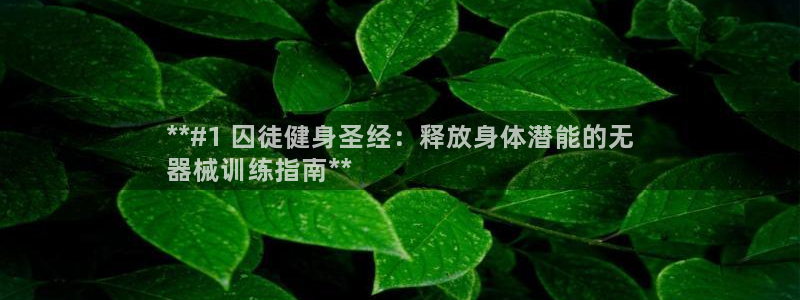 龙8国际是什么平台