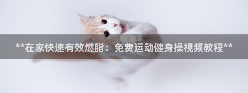 龙八国际2018最新官网