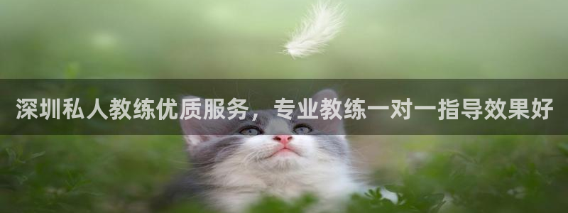 龙8游戏平台的网站