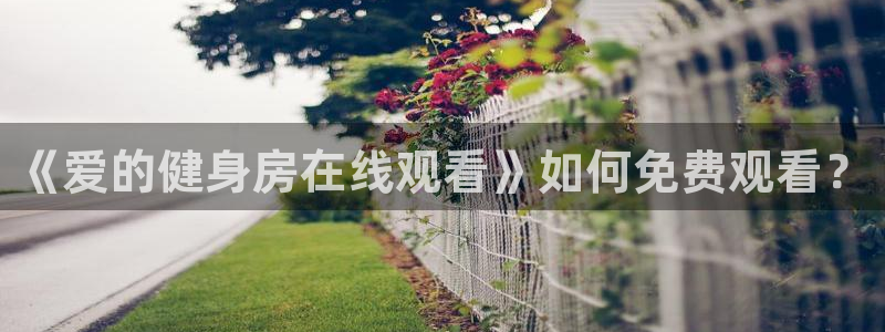 龙8电子游艺网址多少