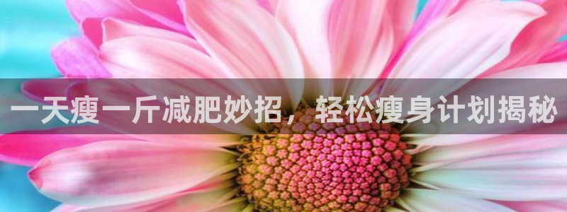 龙8全新客户端安卓版