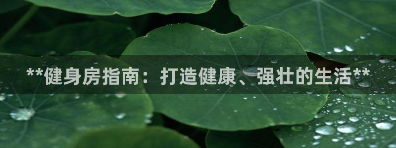 龙8国际的官网