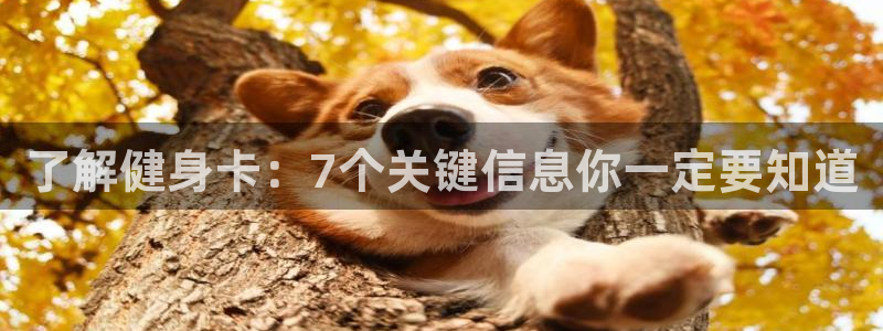 龙8国际long8龙8游戏