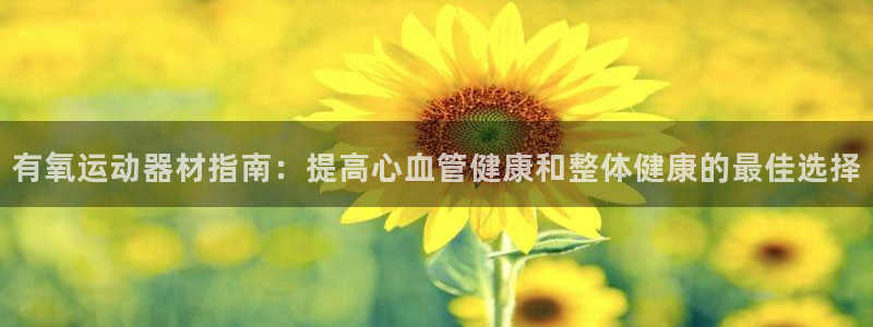 龙8国际3.0