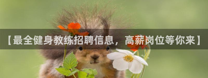 龙8国际手机版app