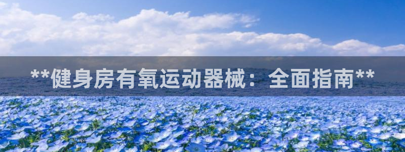 龙8国际手机官网下载