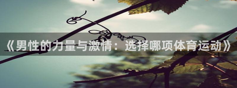 bbin视讯：《男性的力量与激情：选择哪项体育运动》