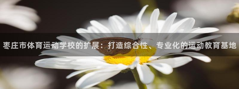 bbin视讯游戏平台：枣庄市体育运动学校的扩展：打造综合性、专业化的运动教育基地