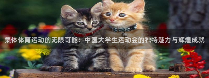 bbin视讯游戏官网