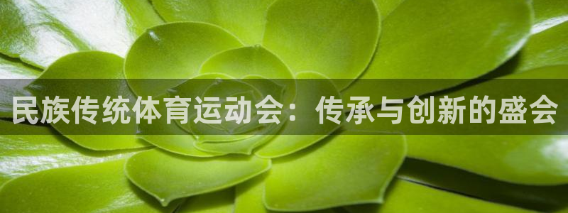 bbin视讯：民族传统体育运动会：传承与创新的盛会