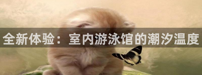bbin视讯游戏官网：全新体验：室内游泳馆的潮汐温度