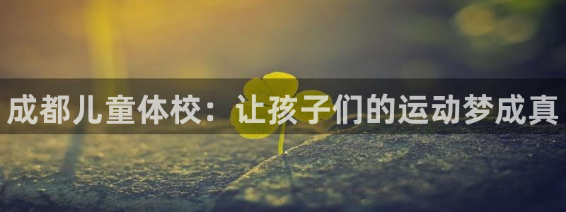 bbin视讯游戏平台：成都儿童体校：让孩子们的运动梦成真