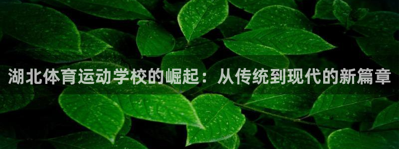 bbin视讯：湖北体育运动学校的崛起：从传统到现代的新篇章