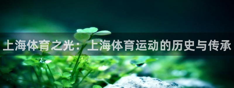 bbin视讯下：上海体育之光：上海体育运动的历史与传承