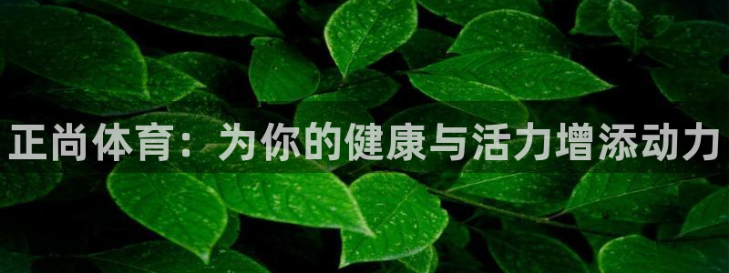 bbin视讯游戏平台