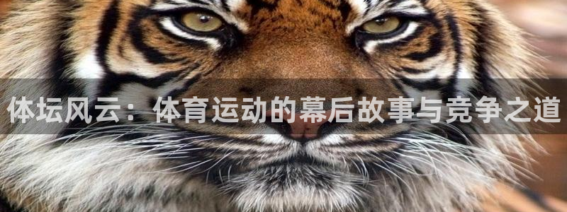 bbin视讯游戏官网