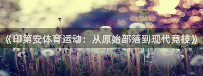 bbin视讯：《印第安体育运动：从原始部落到现代竞技》