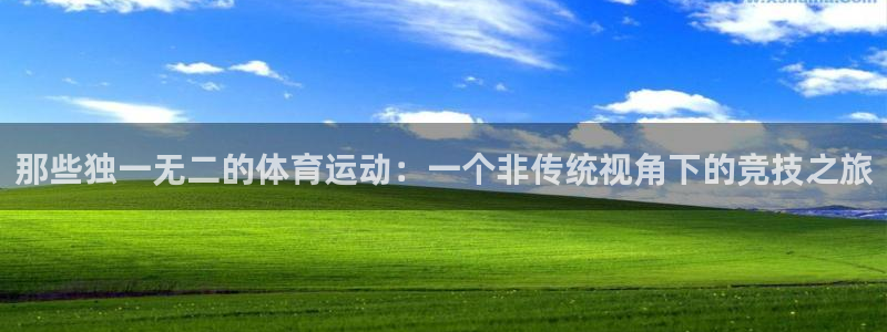 bbin视讯游戏官网：那些独一无二的体育运动：一个非传统视角下的竞技之旅