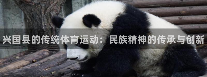 bbin视讯游戏平台：兴国县的传统体育运动：民族精神的传承与创新