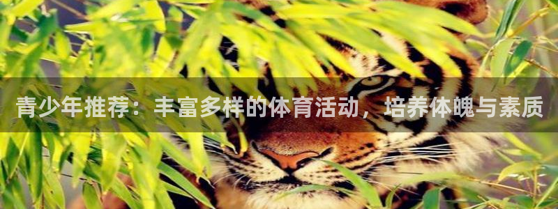 bbin视讯游戏平台：青少年推荐：丰富多样的体育活动，培养体魄与素质